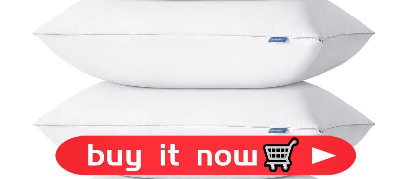 Shop pillows White pillow set